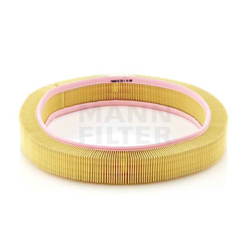 Filtru Aer C42098 pentru Mercedes-Benz