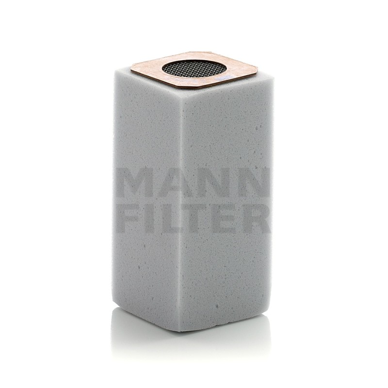 Filtru Aer C60031 pentru Rietschle