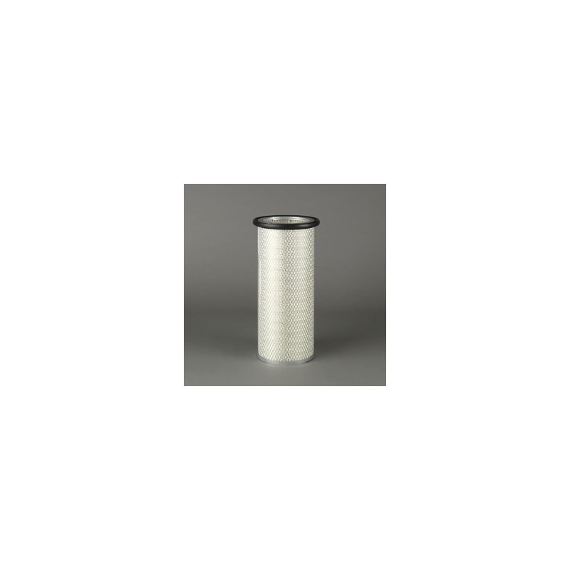 Filtru aer Donaldson P119373 pentru Hifi Filter SA11854