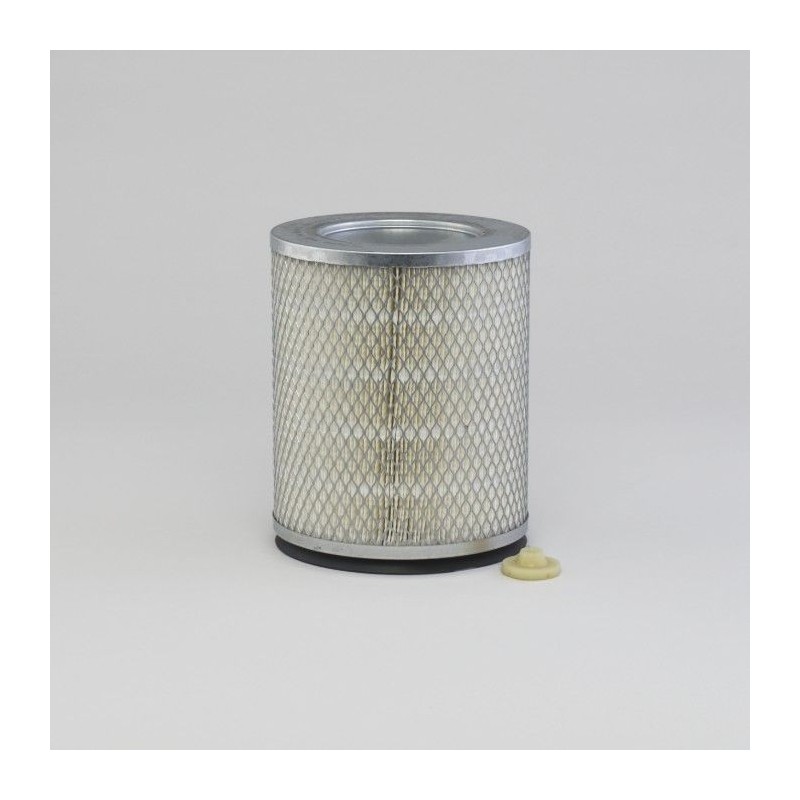 Filtru Aer Donaldson P124548