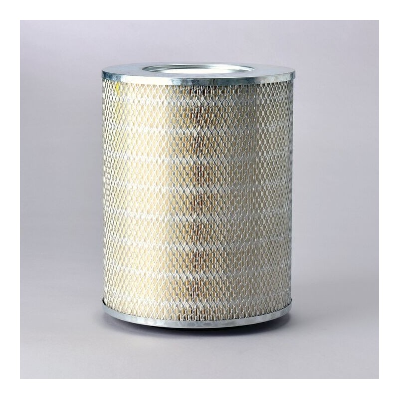 Filtru Aer Donaldson P137957