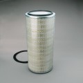 Filtru aer Donaldson P181007 pentru Hifi Filter SA10803