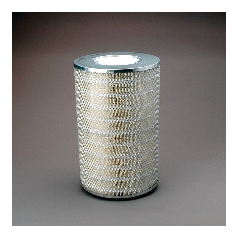 Filtru Aer Donaldson P181028