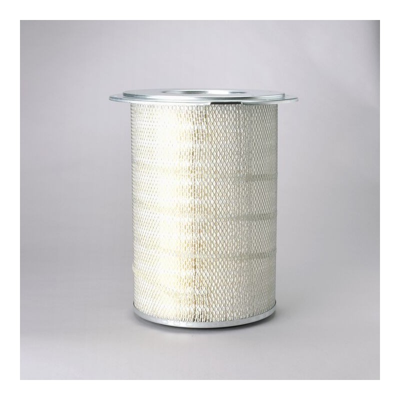 Filtru aer Donaldson P181055 pentru Hifi Filter SA10820