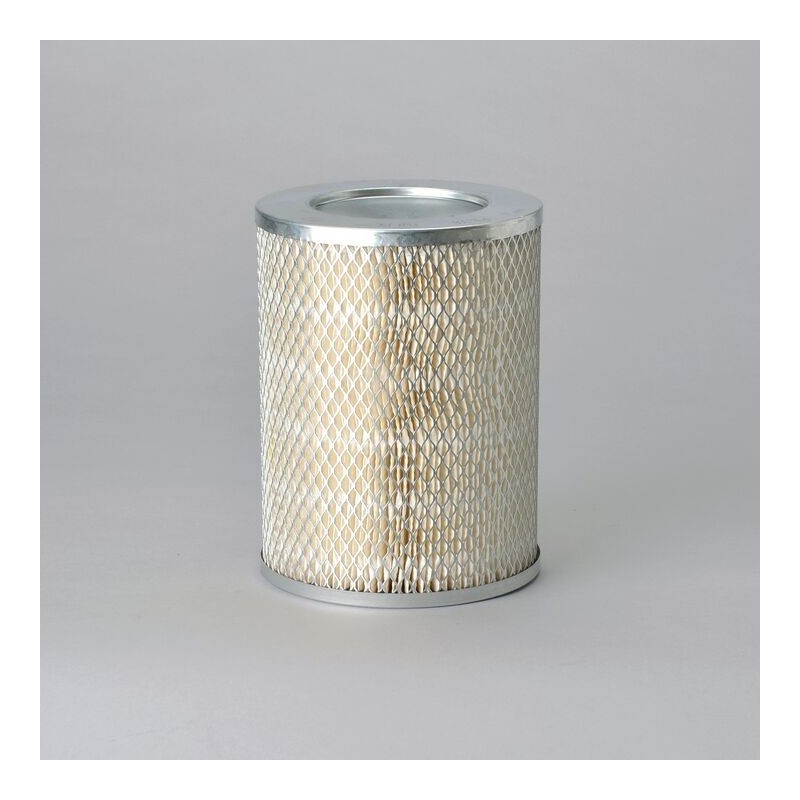 Filtru Aer Donaldson P181068