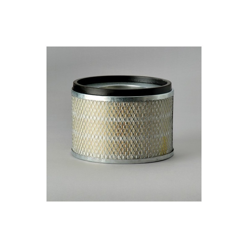 Filtru Aer Donaldson P181125 pentru Hifi Filter SA11840