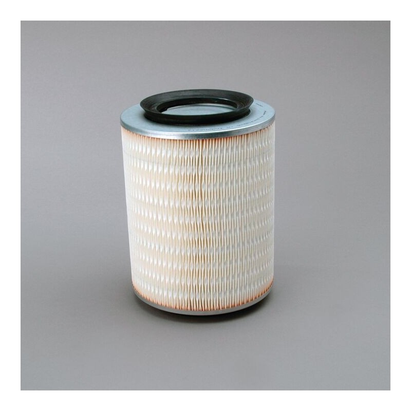 Filtru Aer Donaldson P500014