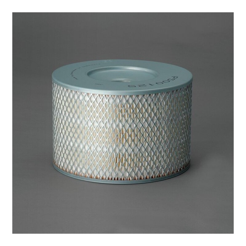 Filtru aer Donaldson P500125 pentru Hifi Filter SA8041