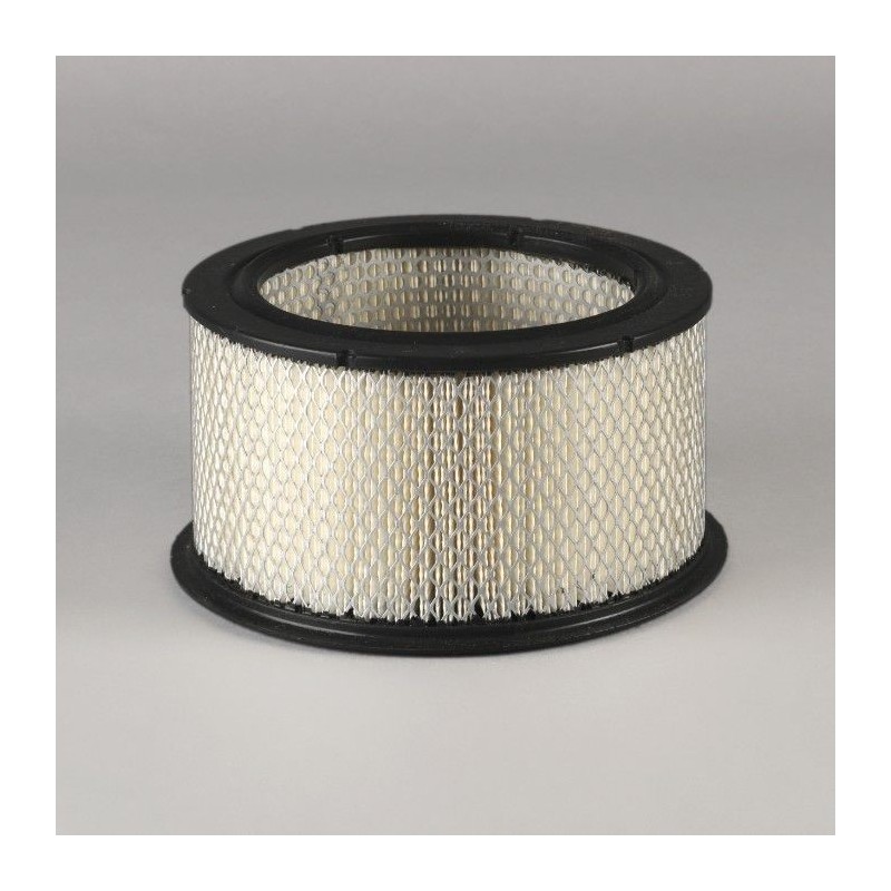 Filtru aer Donaldson P500245 pentru Hifi Filter SA19438