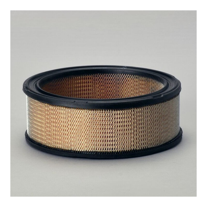 Filtru aer Donaldson P530639 pentru Hifi Filter SA12217