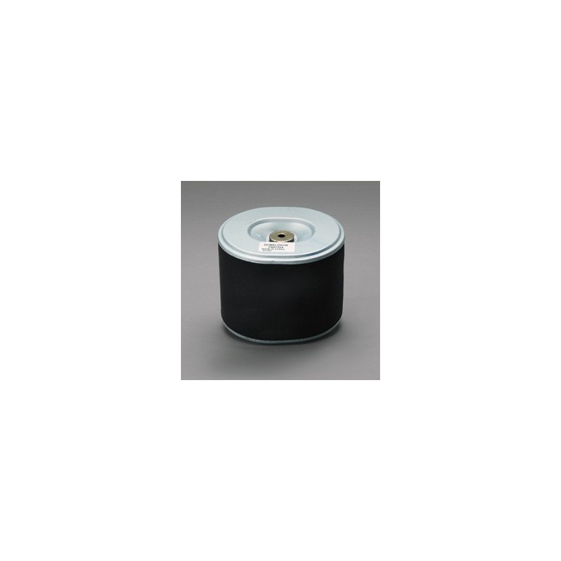 Filtru aer Donaldson P607254 pentru Hifi Filter SA12000