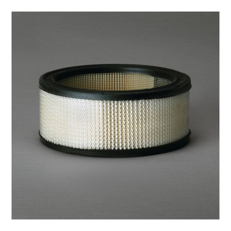 Filtru Aer Donaldson P607255