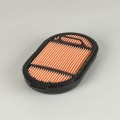 Filtru aer Donaldson P615493 pentru Hifi Filter SA16857