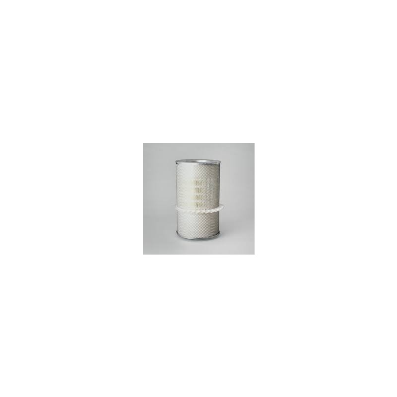Filtru aer Donaldson P772587 pentru Hifi Filter SA16587