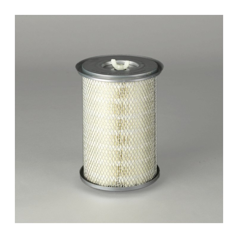 Filtru aer Donaldson P780310 pentru Hifi Filter SA17485