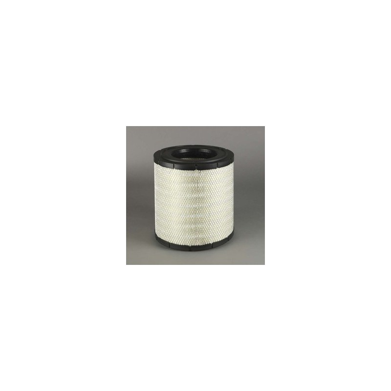 Filtru aer Donaldson P780731 pentru Hifi Filter SA16211