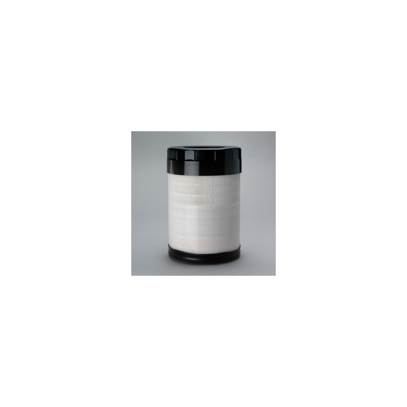 Filtru aer Donaldson P785398 pentru Hifi Filter SA16663