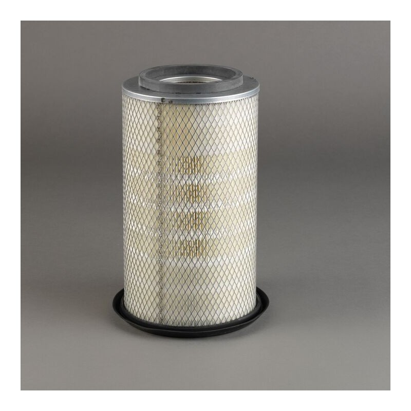 Filtru aer Donaldson P788888 pentru Hifi Filter SA16081