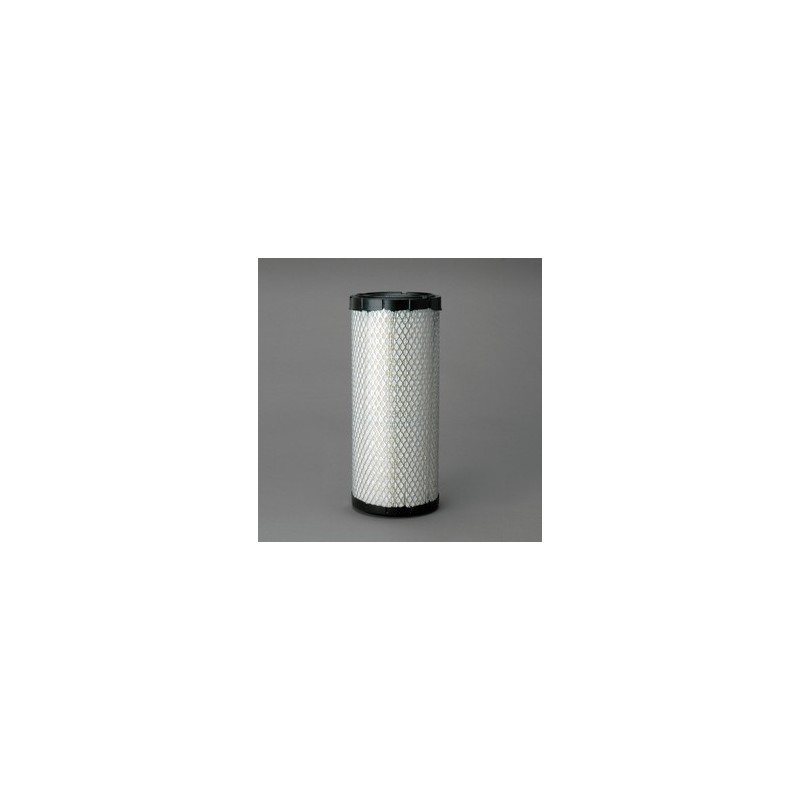 Filtru Aer Donaldson P827653 pentru Hifi Filter SA16683