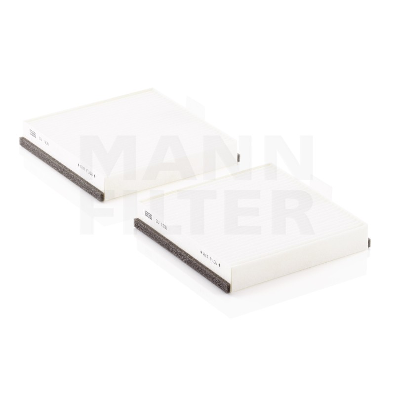 Filtru Cabina FP3555SET pentru Renault Car