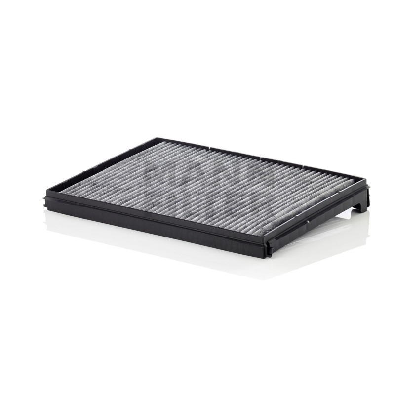 Filtru Cabina FP53834AK pentru DAF