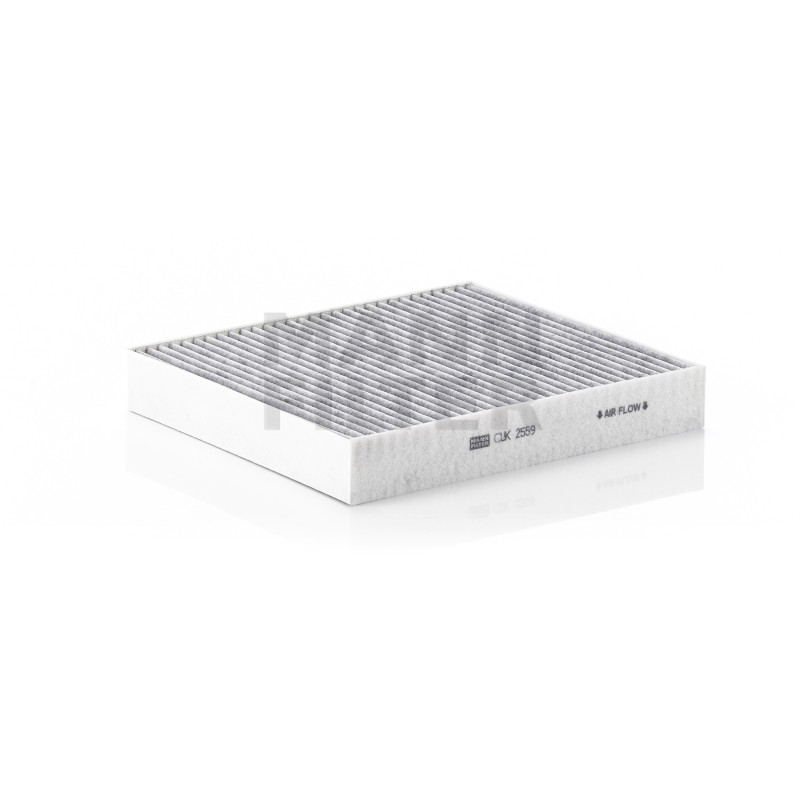 Filtru Cabina FP54073AK pentru Ford