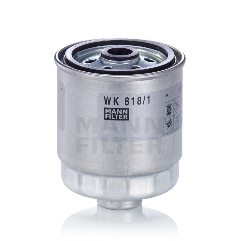 Filtru Combustibil FC5672 pentru Hyundai