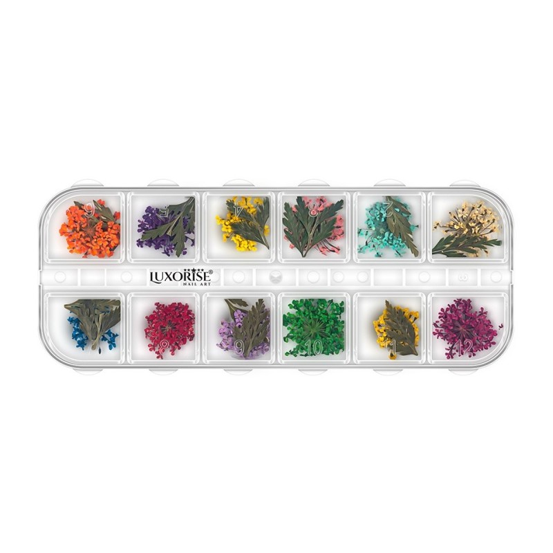 Flori Uscate Unghii Luxorise, Blissful Bloom, 12 Modele