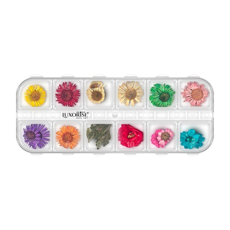 Flori Uscate Unghii Luxorise, Flower Dream, 12 Modele