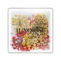 Flori Uscate Unghii Luxorise, Mystic Flowers