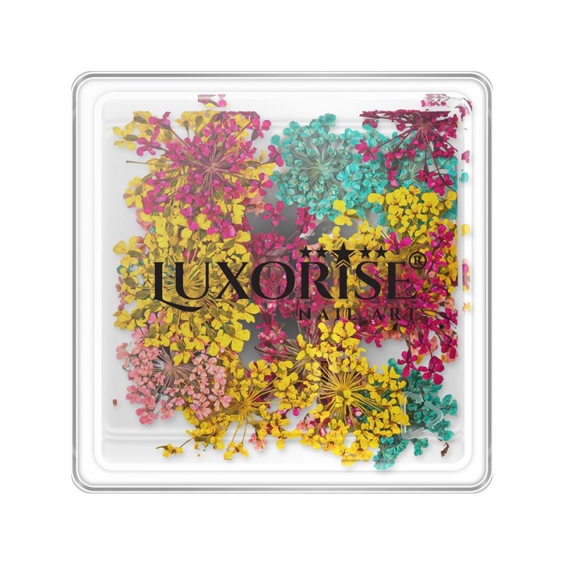 Flori Uscate Unghii Luxorise, Summer Mirage