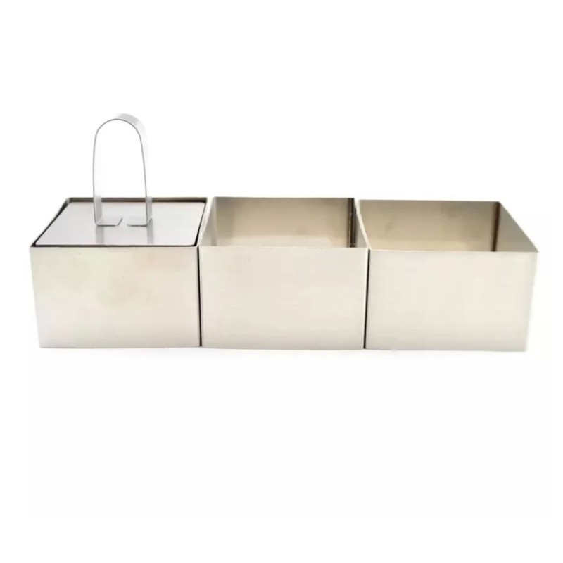 Forme Patrate cu Presa pentru Alimente, 6 x 6 x 4 cm, 3 Bucati, Inox, Perfect Home