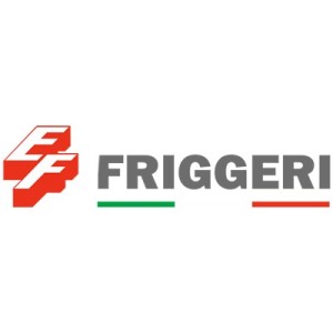 Friggeri