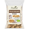 Fulgi Crocanti Bio de Ovaz 250g