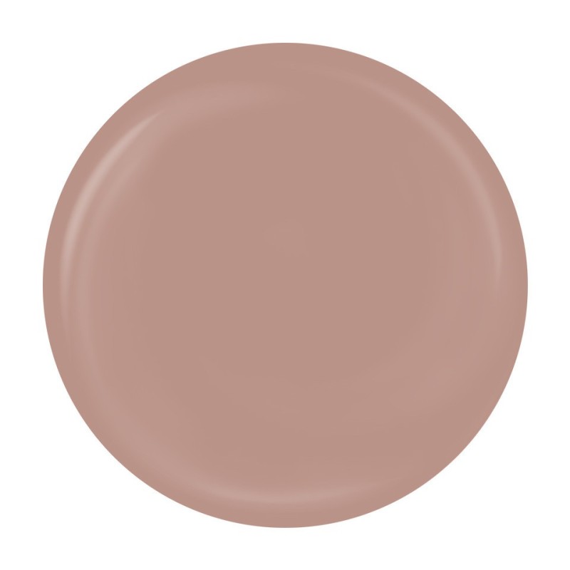 Gel Pictura Unghii Luxorise Perfect Line, Nude, 5 ml