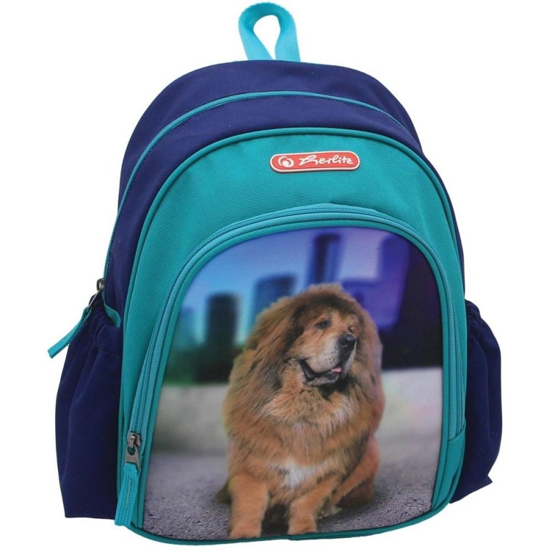 Ghiozdan Ergonomic Cool, Motiv Phantom, Reglabil, 31 cm Inaltime, 20 cm Latime