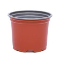 Ghivece Productie 10.5 / 510 cc Gri P105590