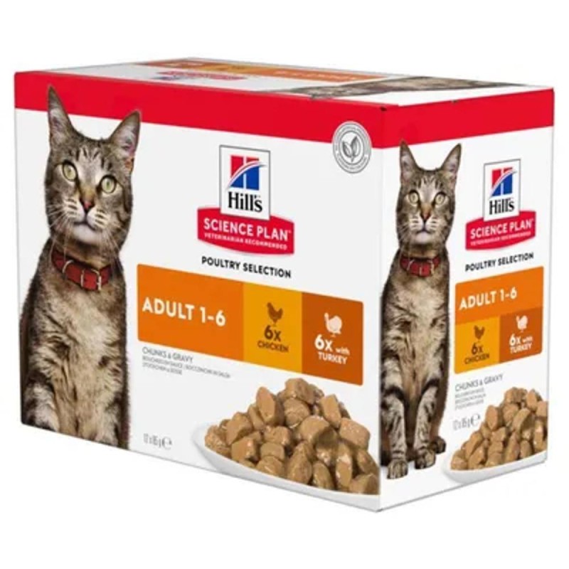 Hrana Pisici Adulte Kittix, cu Pui, 24 x 85 g