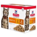 Hrana Pisici Adulte Kittix, cu Pui, 24 x 85 g