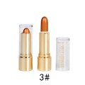 Iluminator Shimmer Stick Handaiyan 03, 23 g