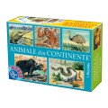 Joc Educativ, D-Toys, Animale din Continente