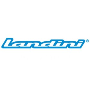 Landini