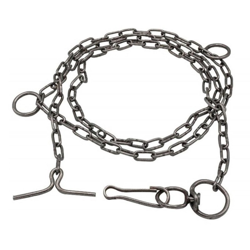 Lant Zincat pentru Caine, 5 mm x 2 m, Zilan