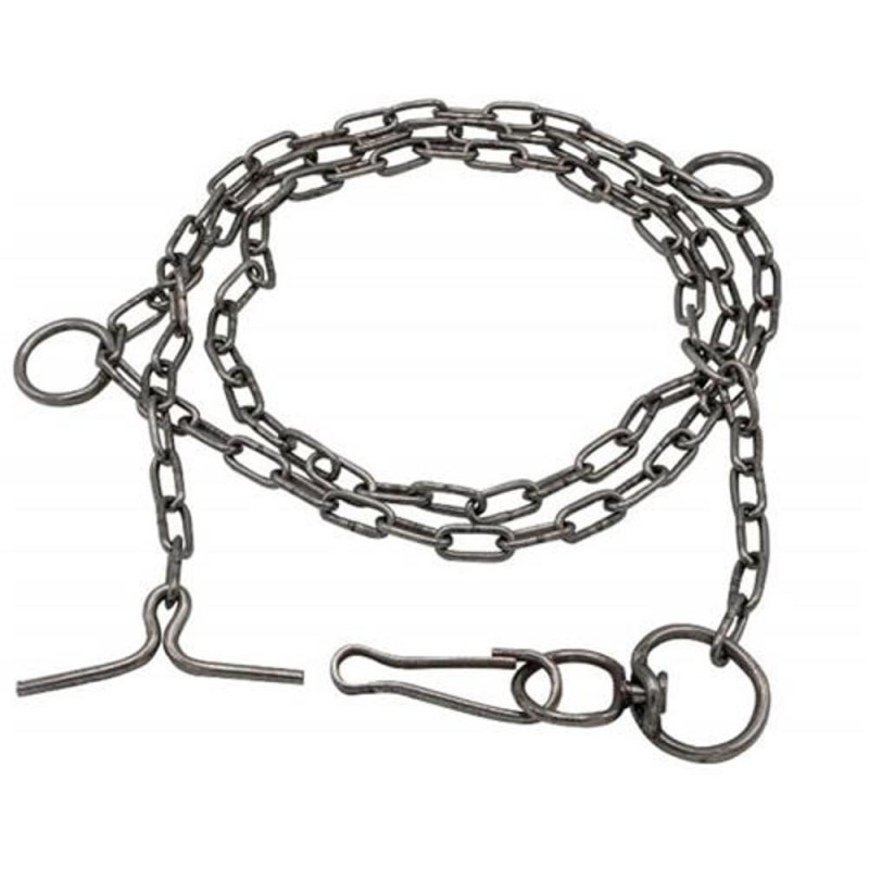 Lant Zincat pentru Caine, 6 mm x 2 m, Zilan