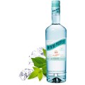 Lichior Giffard de Menta 21% Alcool 0.7 l