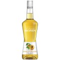 Lichior Monin Apricot, Alcool 20%, 0.7 l