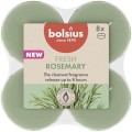 Lumanare Pastila, 8 Ore, Bolsius, Parfum Rozmarin, 8 Bucati