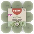 Lumanare Pastila, Rozmarin, 6 Ore, 18 Bucati, Bolsius