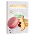 Lumanari Pastila, Macaroons, 6 Bucati