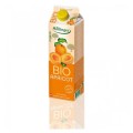 Nectar BIO de Caise, 1 l, Hollinger
